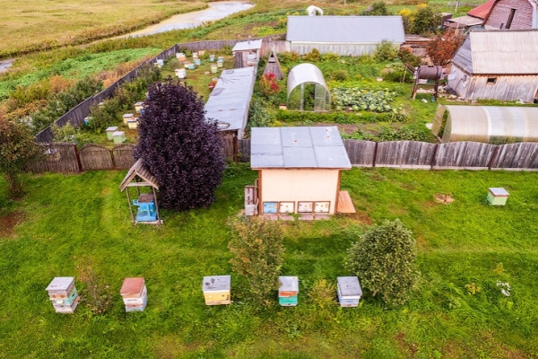 Срочно копать картошку в августе-2024 призвал новосибирцев агроном Мармулев