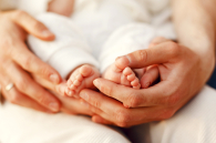 Карликовые бегемоты из Таиланда появятся в Новосибирском зоопарке