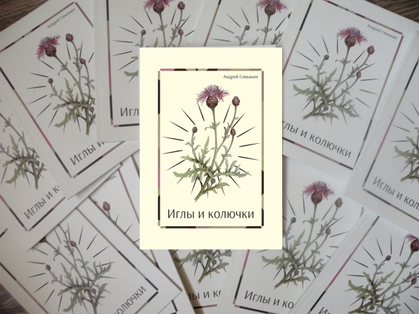 Лекарства от хандры и не только: 11 книг омских писателей, которые вышли в этом году